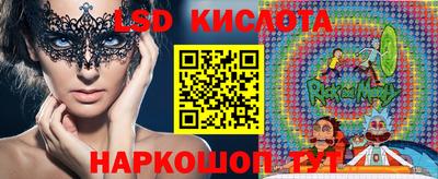 прущие грибы Боровичи
