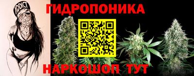прущие грибы Боровичи