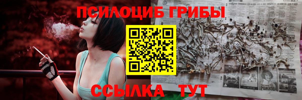 закладка  Галлюциногенные грибы Psilocybe  Алексин  Вход с VPN  Псилоцибиновые грибы GOLDEN TEACHER 