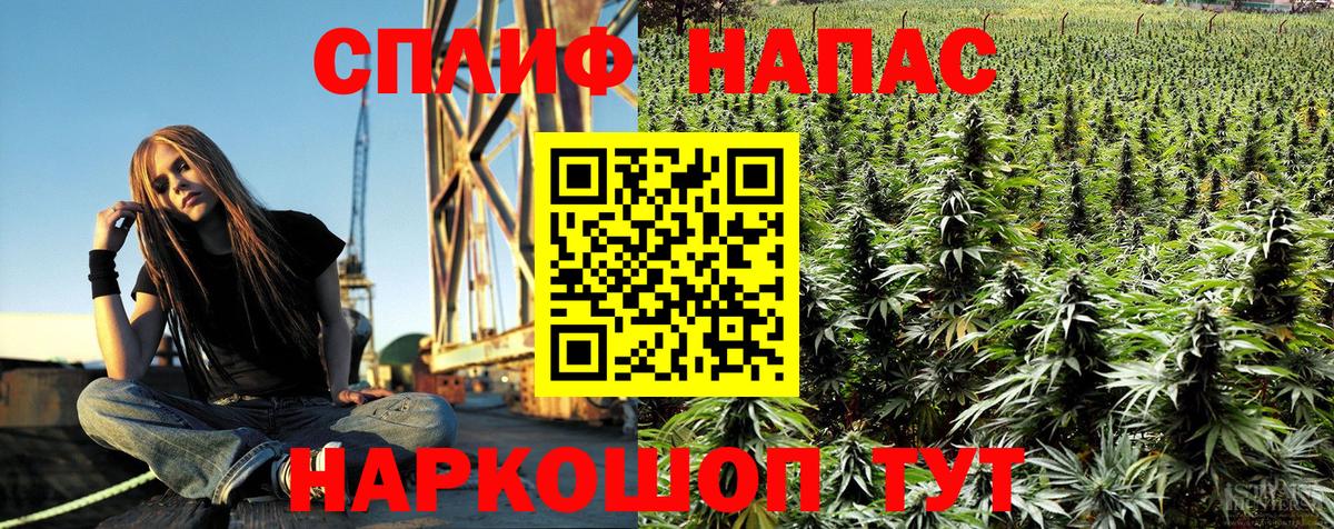 Бошки Шишки сатива  Конопля AK-47  Алексин  Шишки марихуана план  Вход с VPN 